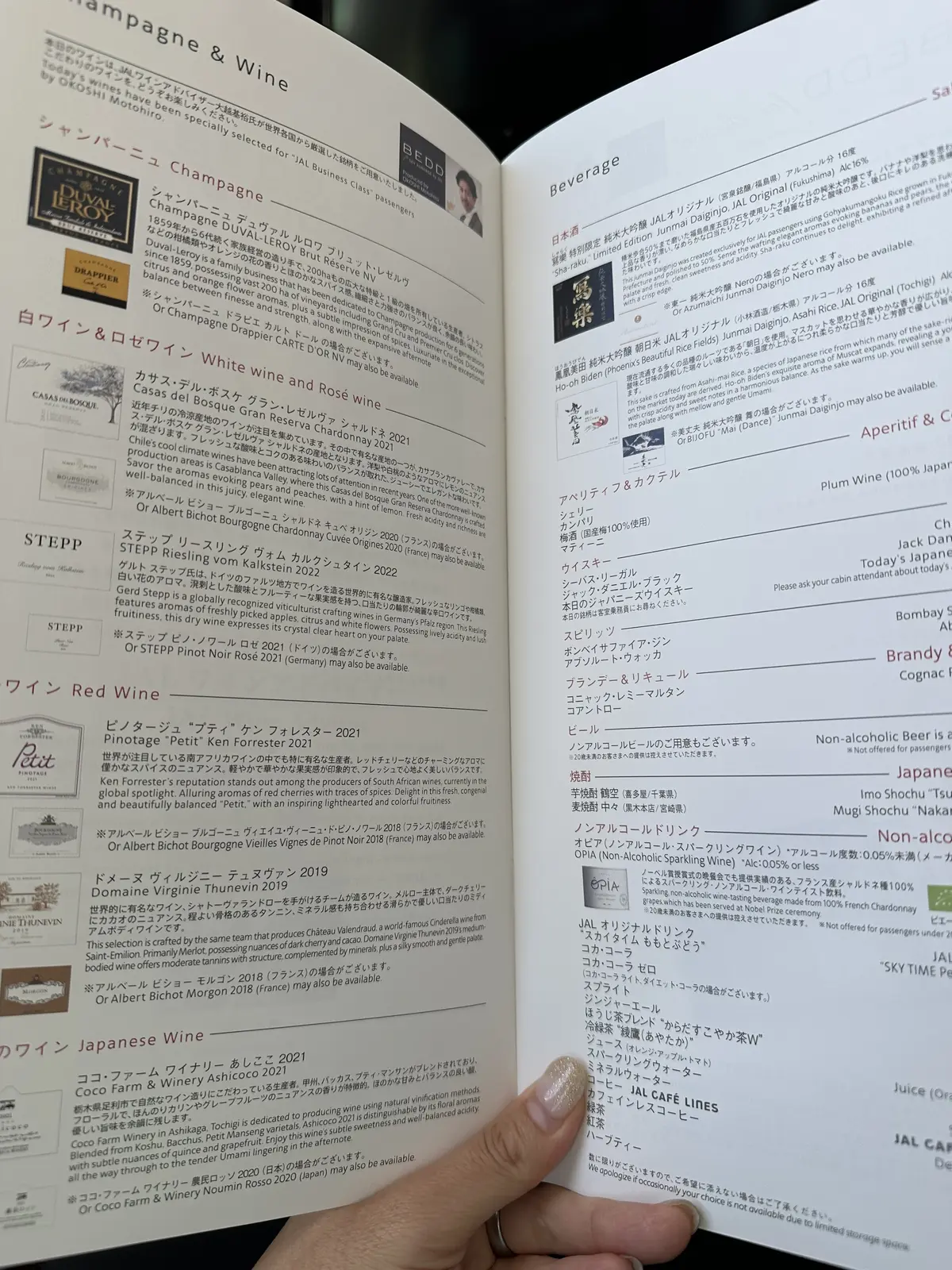 Hawaii day 8. 9の画像_12