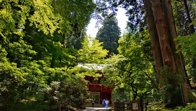 夏の茨城旅【後編】御岩神社から偕楽園、弘の画像_1