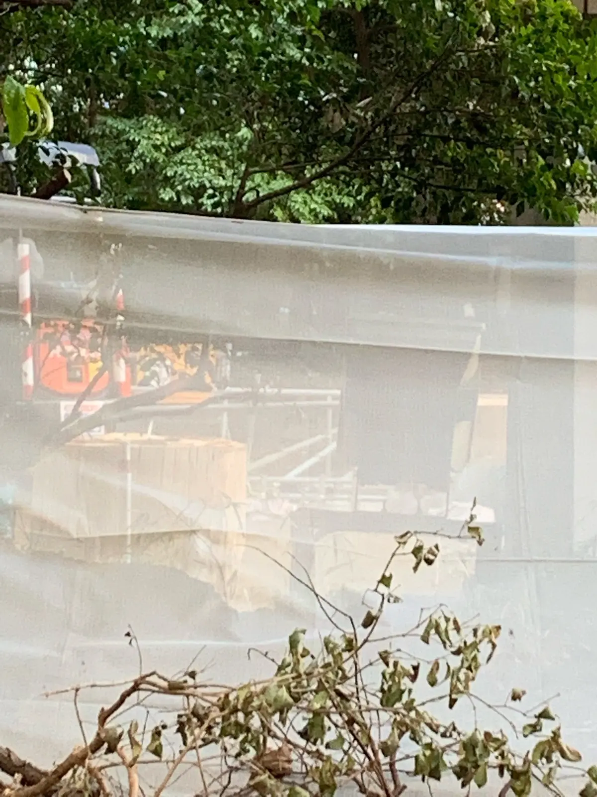 ２年目スタート！の画像_3