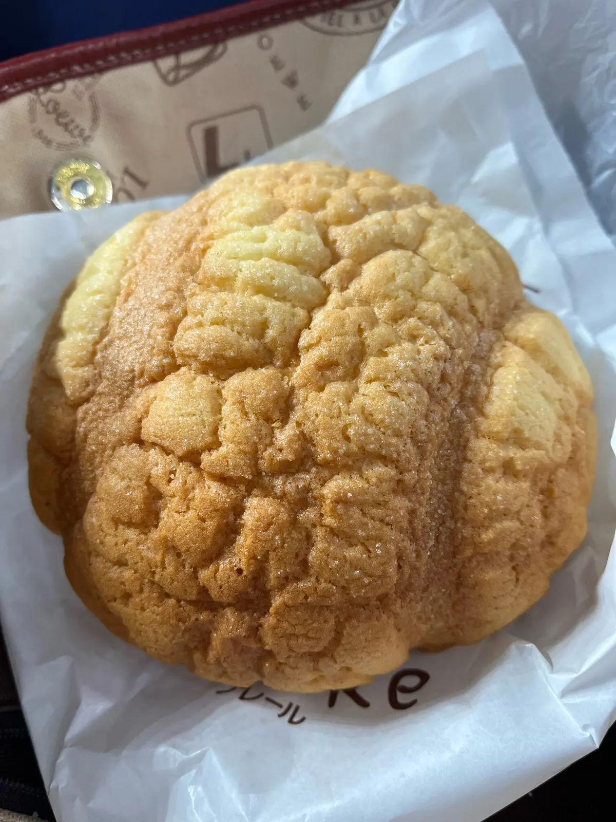 【おひとりさま】侍ジャパンを目の前で！！の画像_10