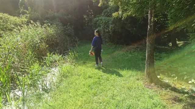 自然の中を散策