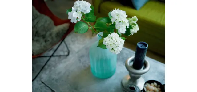 大草さんの自宅