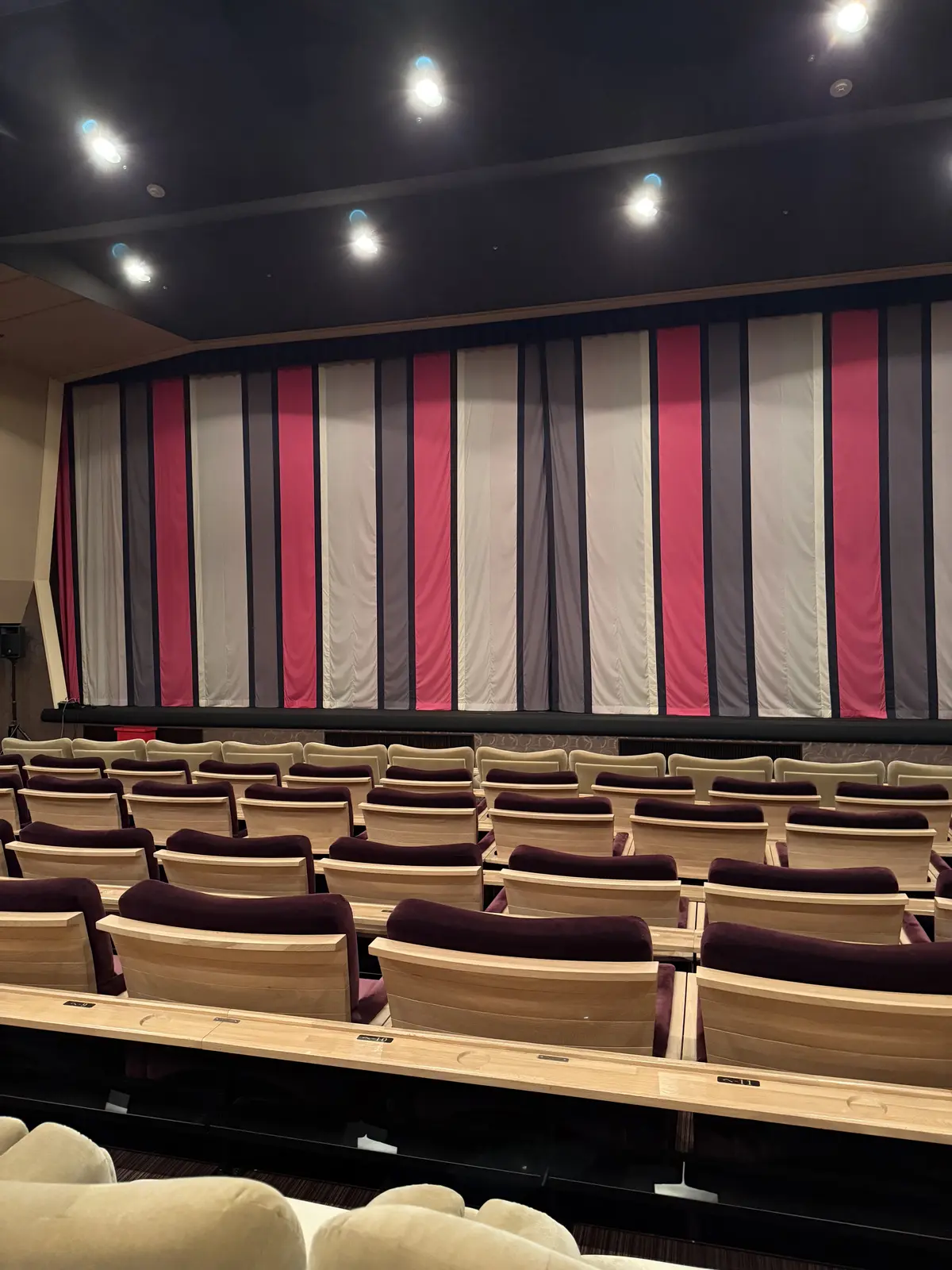 『国宝』の画像_1