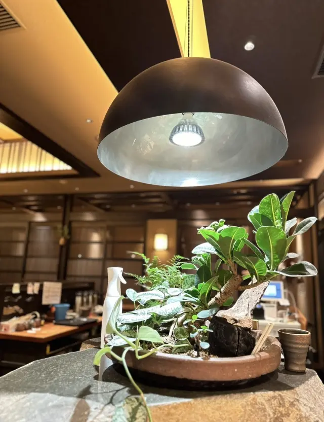 ディナータイムは、カジュアルになりすぎなの画像_3