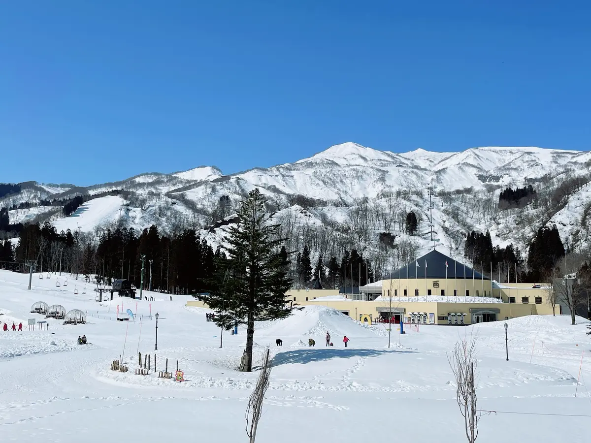 春スキー @ ロッテアライリゾートの画像_5