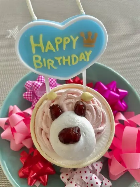 可愛いわんちゃんのお誕生日ケーキ❤の画像_1