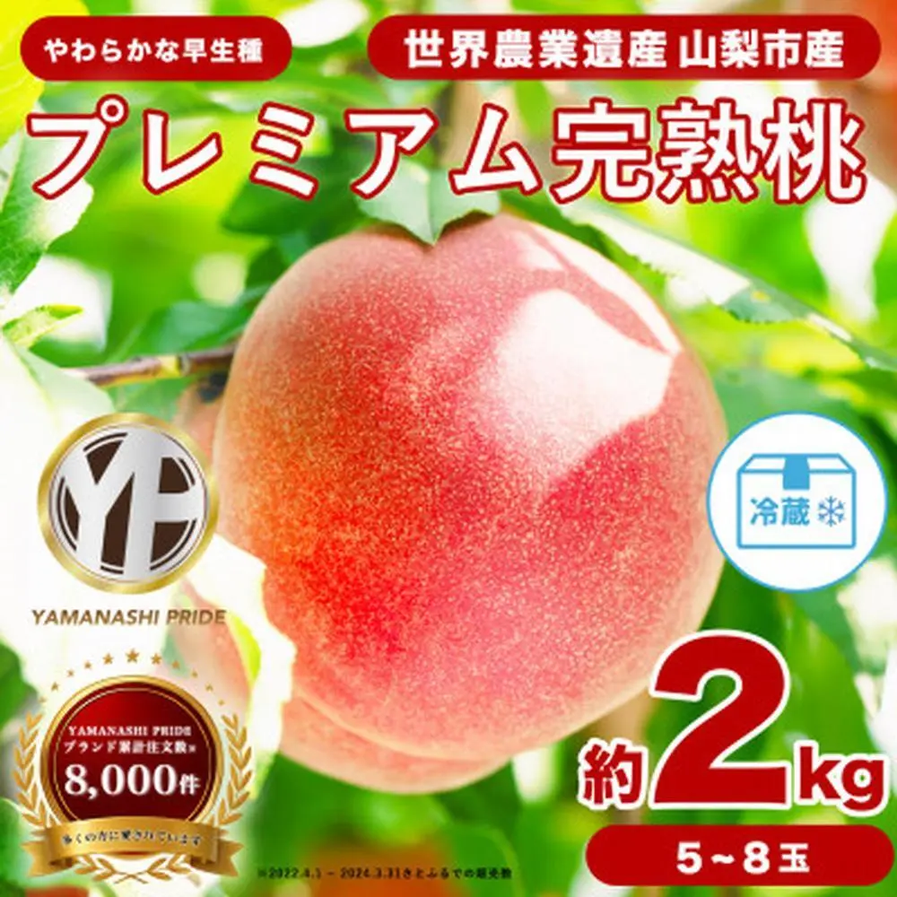 ふるさと納税　山梨県山梨市　桃