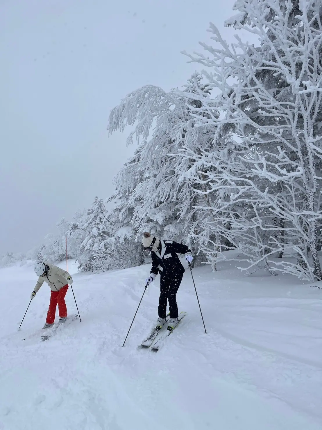 今季初滑りはパウダースノーが自慢の奥志賀の画像_16