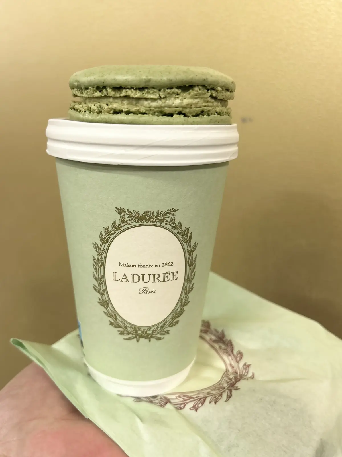 ヴェルサイユの宮殿と庭園でラデュレ　マカロン　フランス