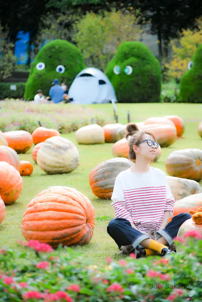 【さかぽんの冒険】巨大カボチャの旅@日比の画像_4