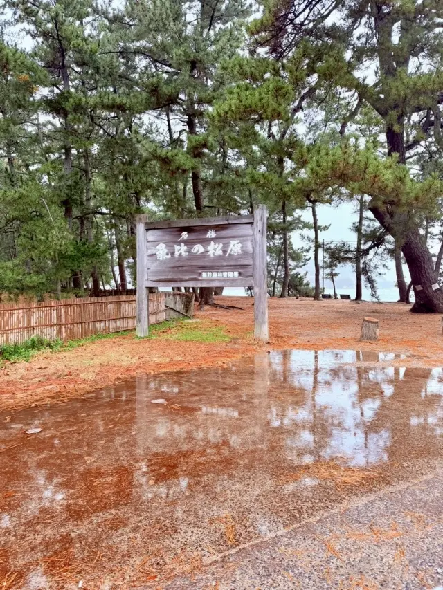 北陸の守護神「氣比神宮」へ 松尾芭蕉が愛の画像_9