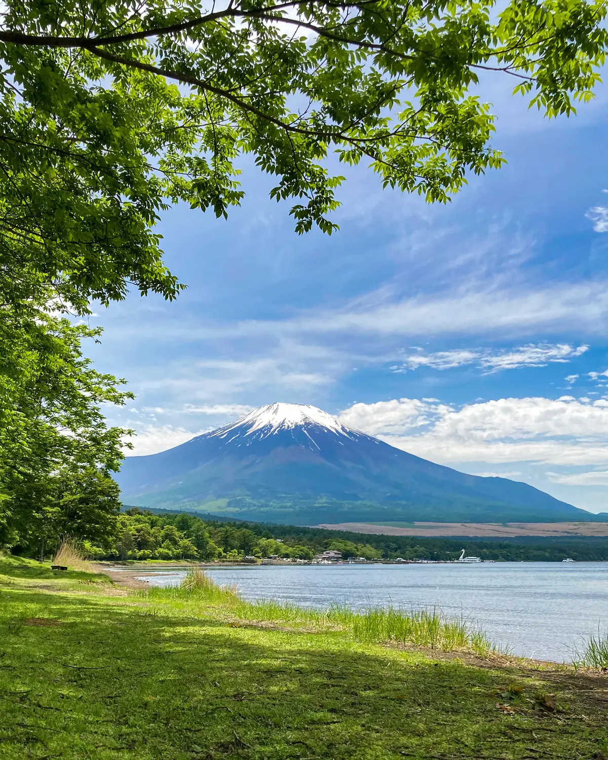 新緑の中、心地よい時間を過ごせるカフェ♪の画像_7