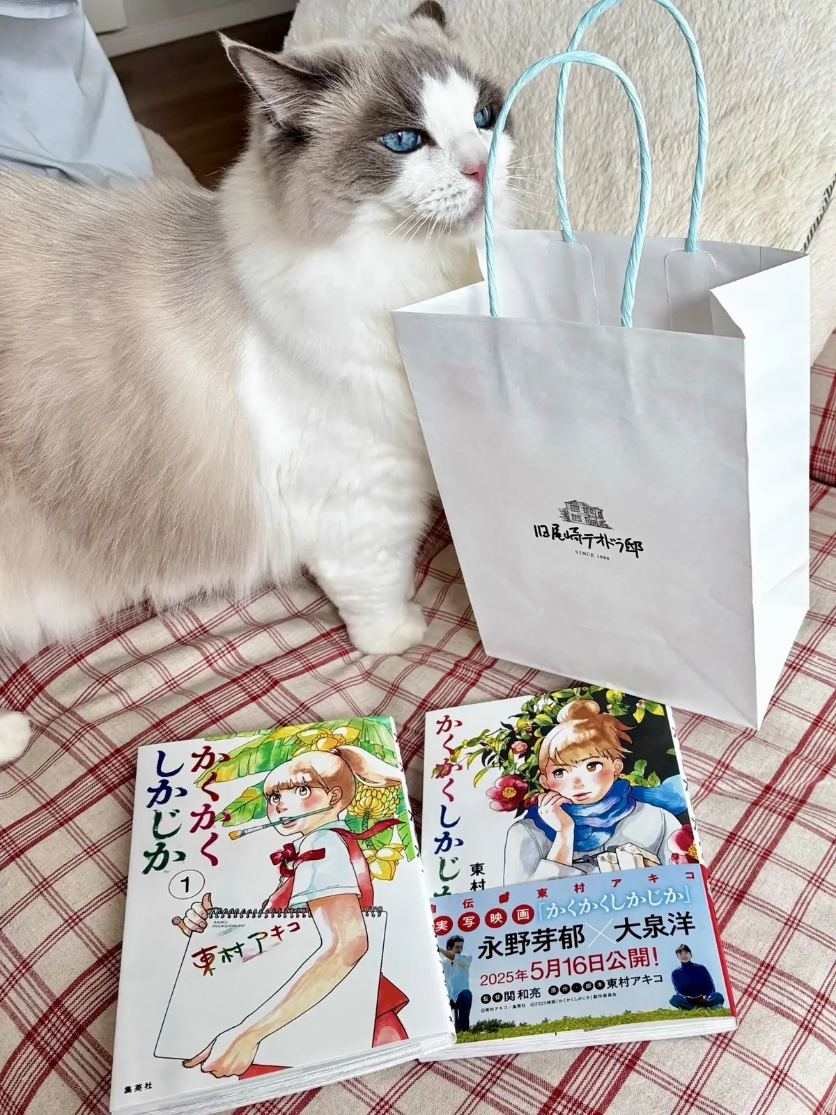 「かくかくしかじか」コミックとショップの袋と猫（下の子）