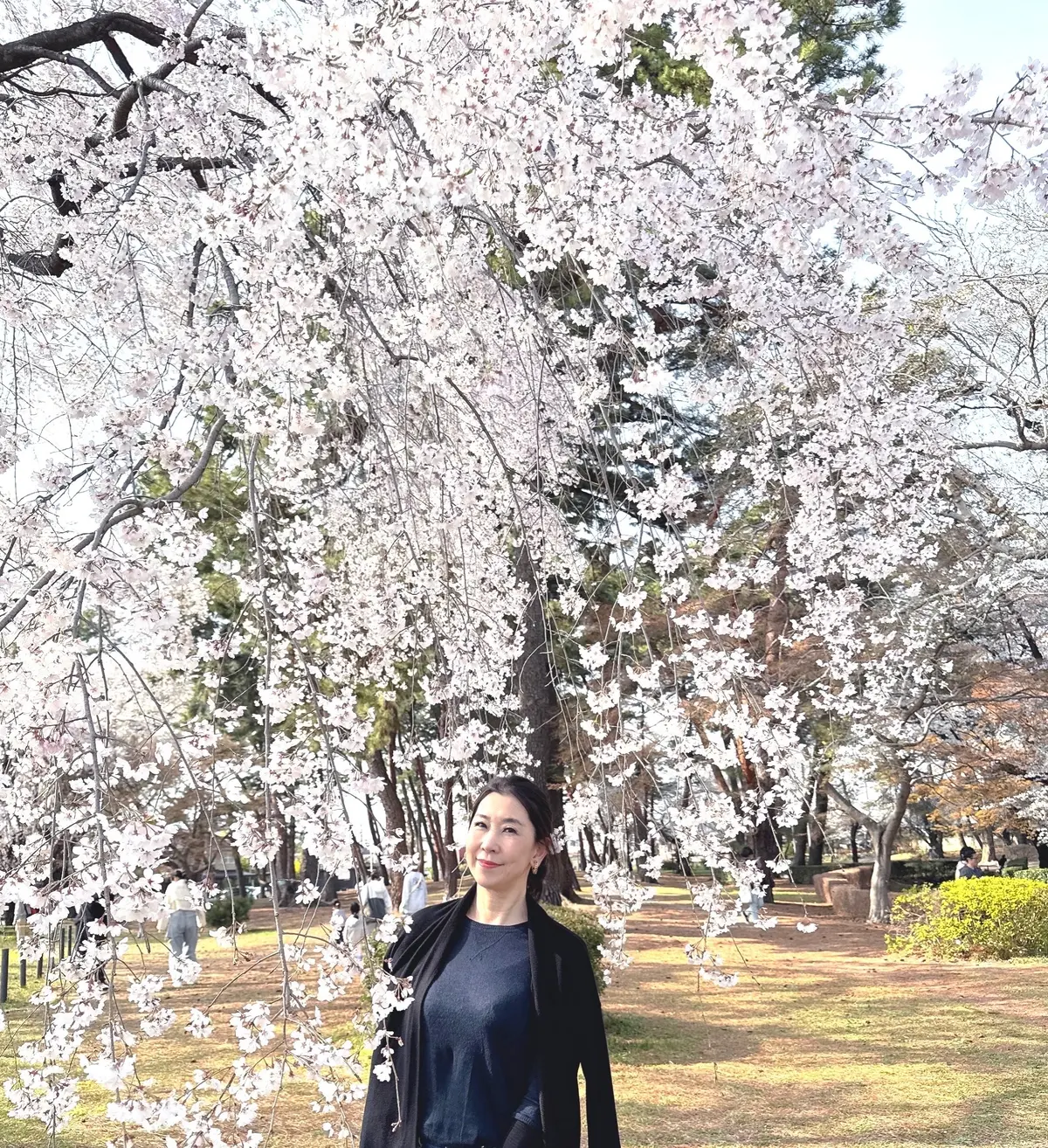 古民家カフェとしだれ桜で寛ぐ春の休日の画像_11