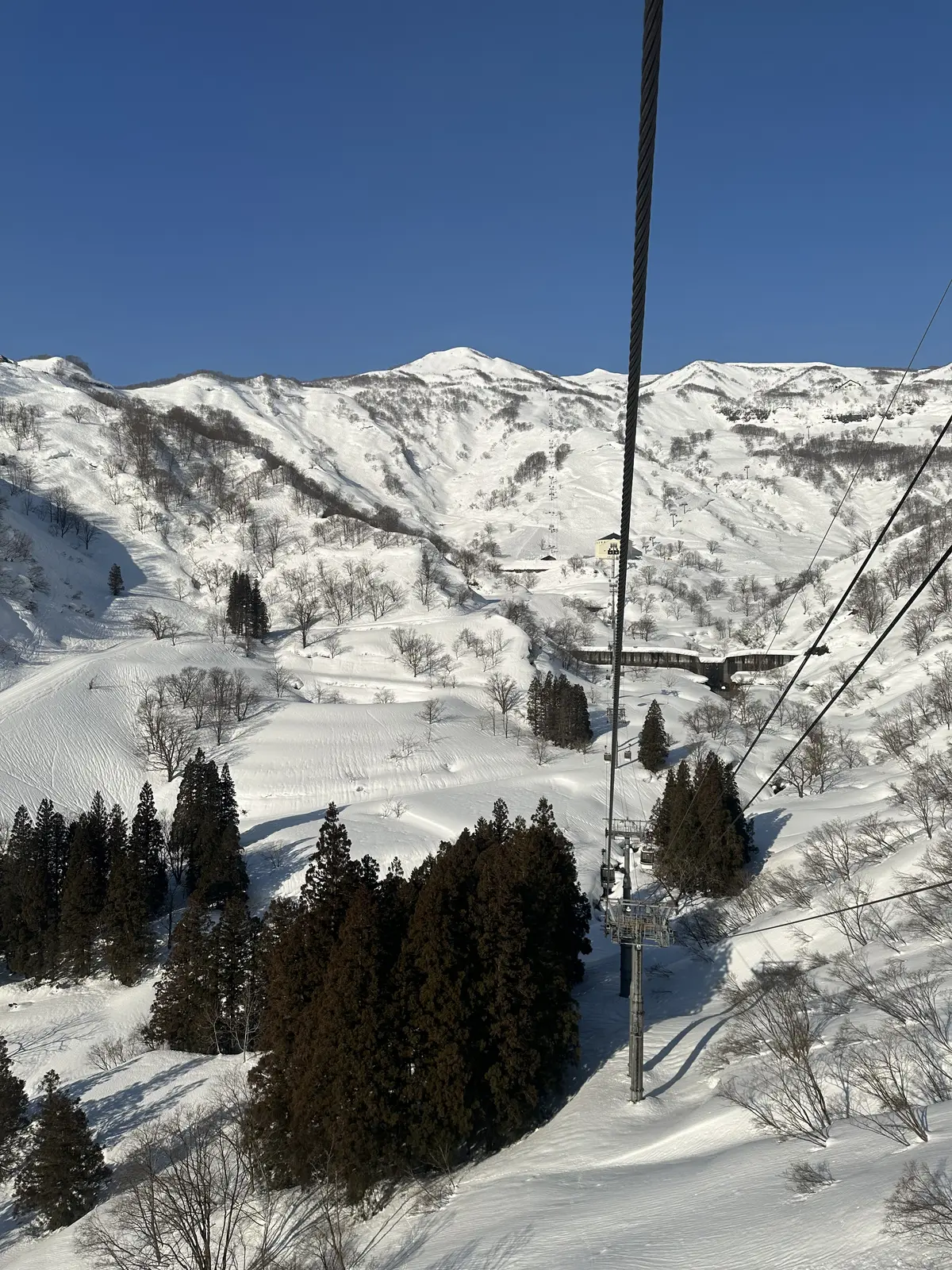 限りなく広がる青い空と白銀の山々、春スキの画像_6