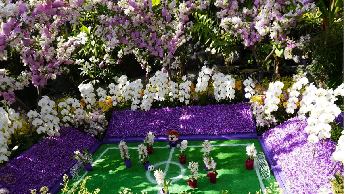 梅も桜も胡蝶蘭まで…花々に囲まれ春の訪れの画像_5