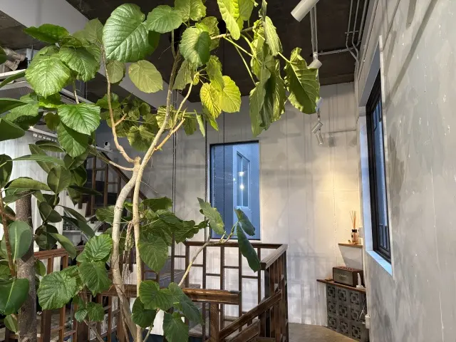 2階に上がると、美容院がありこちらにも緑がいっぱい。