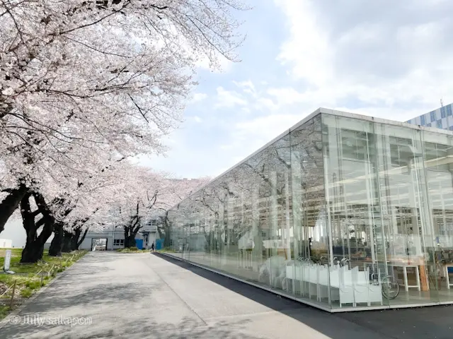 【さかぽんの冒険】建物探訪@神奈川工科大の画像_14