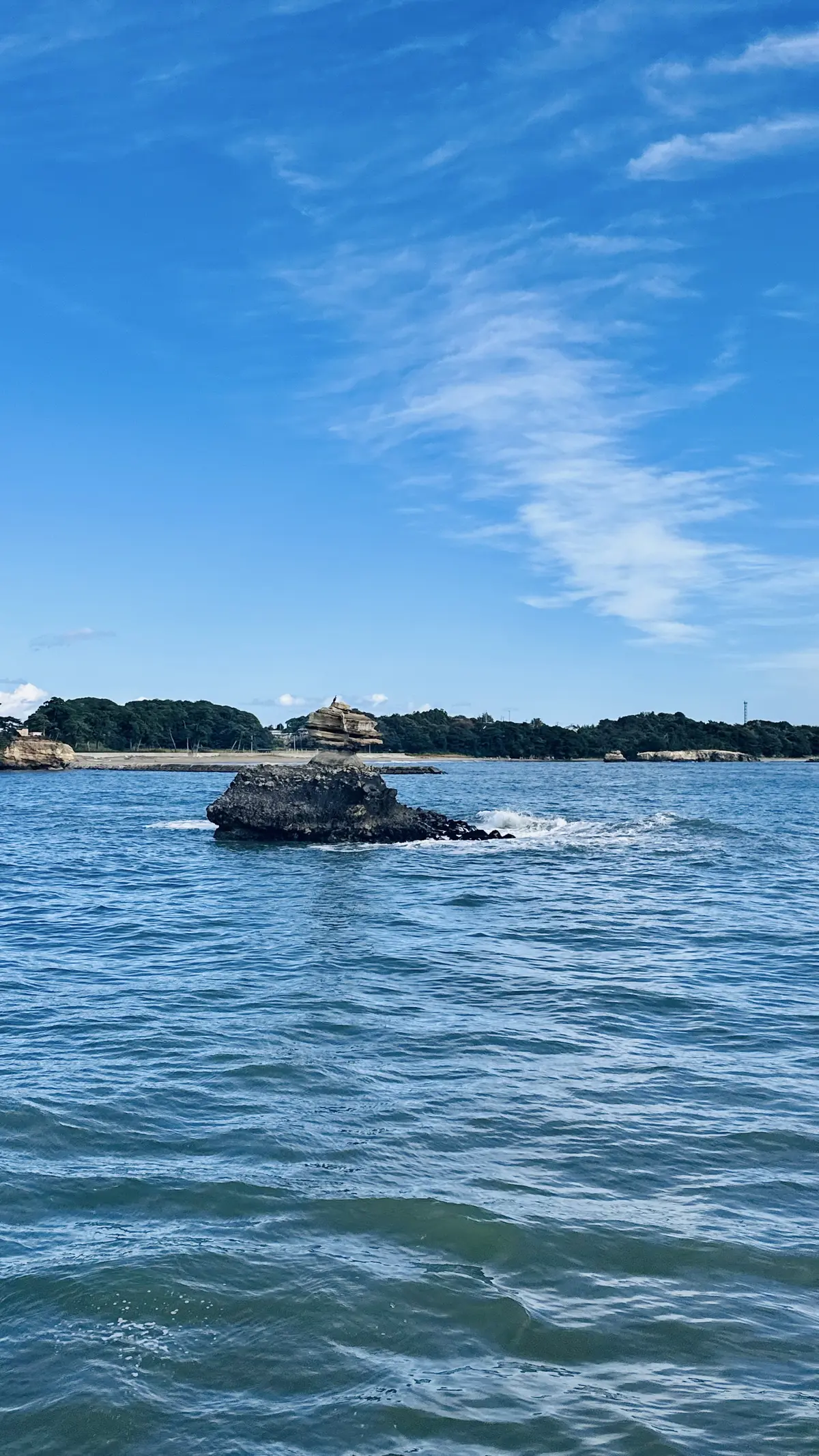 【秋の仙台旅行】「宮島」と「瑞巌寺」で鷹の画像_6