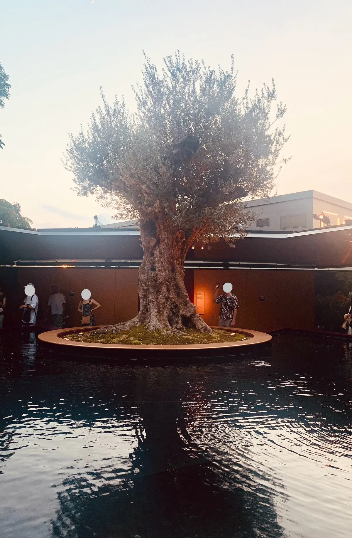 夜間チケットで大阪・関西万博へ🌃の画像_9