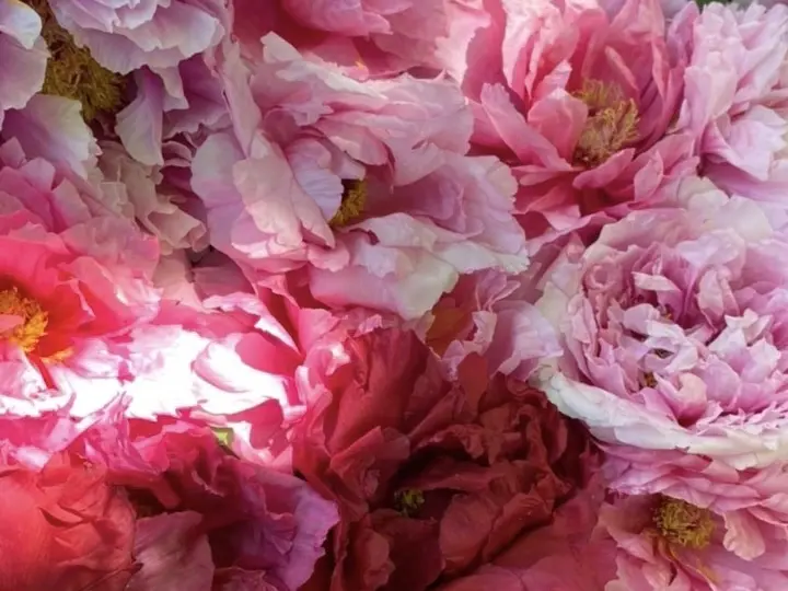 島根県「由志園」に行ってきました。の画像_4