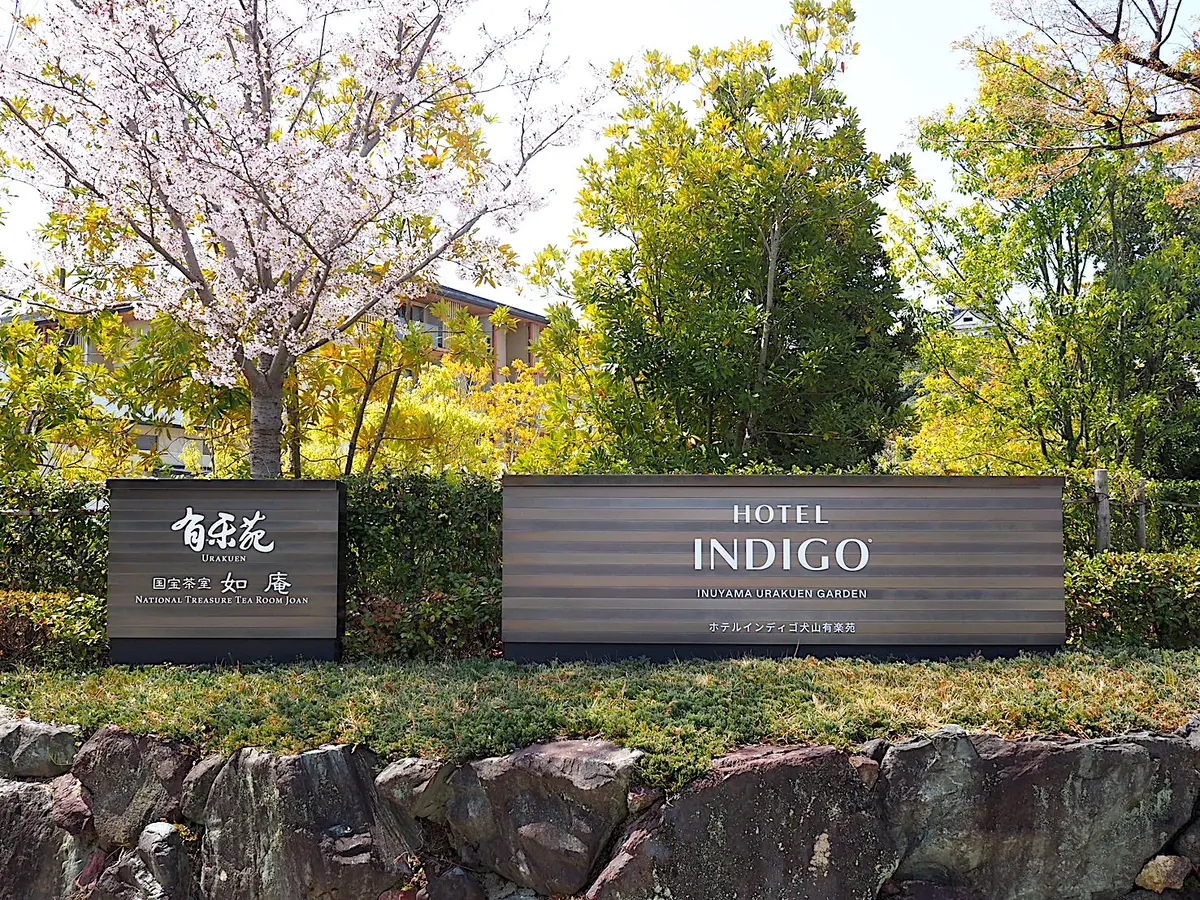 H&Mの春色ジャケットで犬山有楽苑と桜巡の画像_1