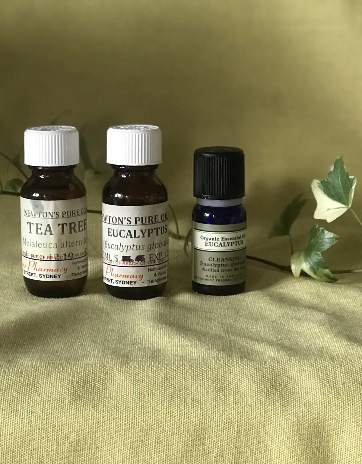 お気に入りのマスクをつけて上野へ♡の画像_7