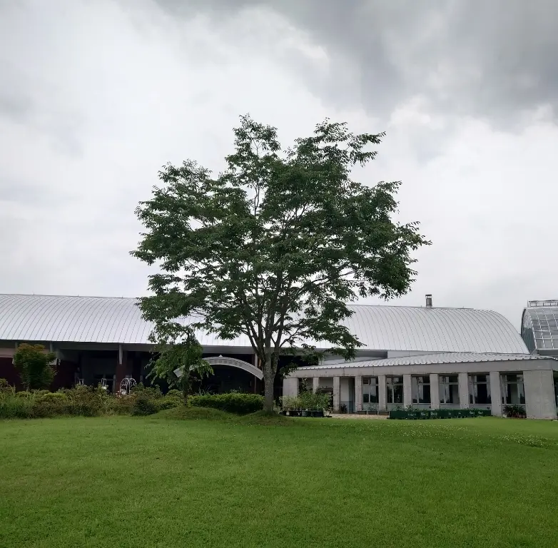 農業科学館の木