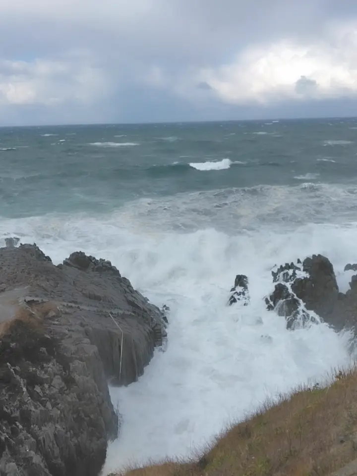 【福井】1泊2日弾丸グルメ旅♡の画像_13