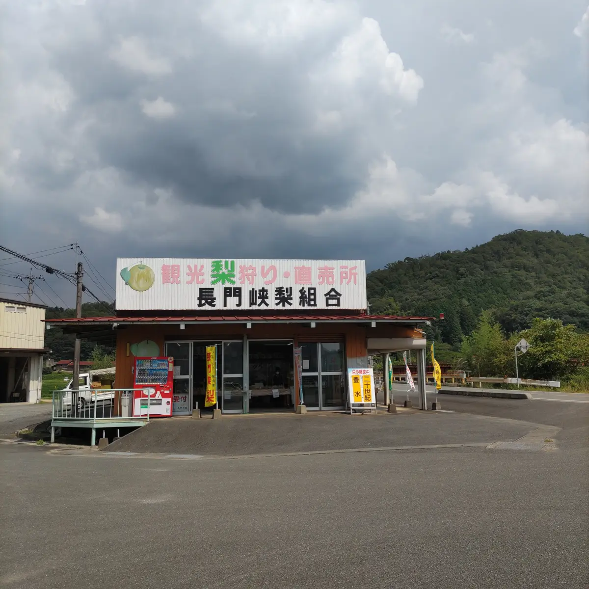 『二十世紀梨』の画像_5