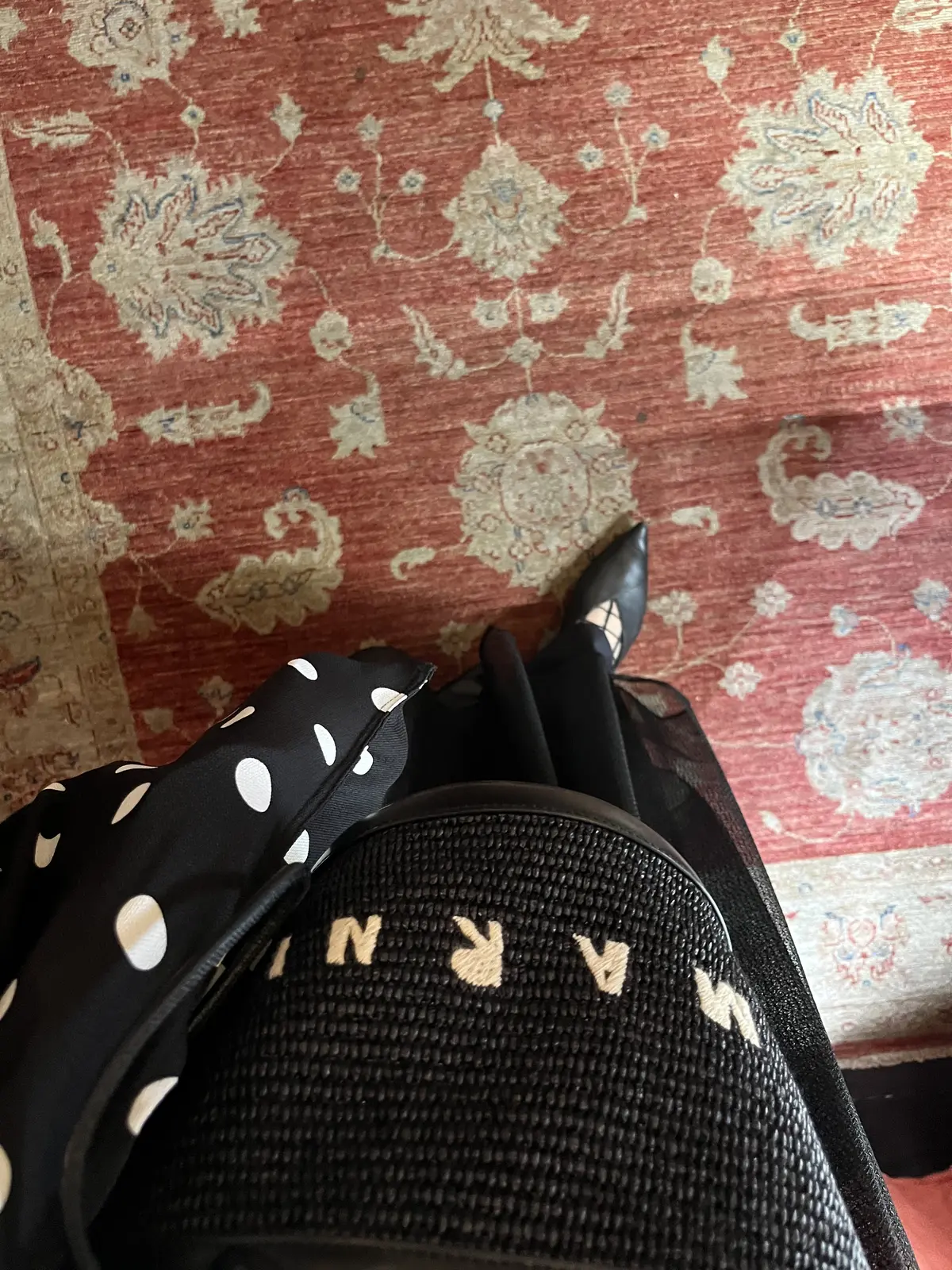 新宿の草間彌生美術館へ。の画像_12