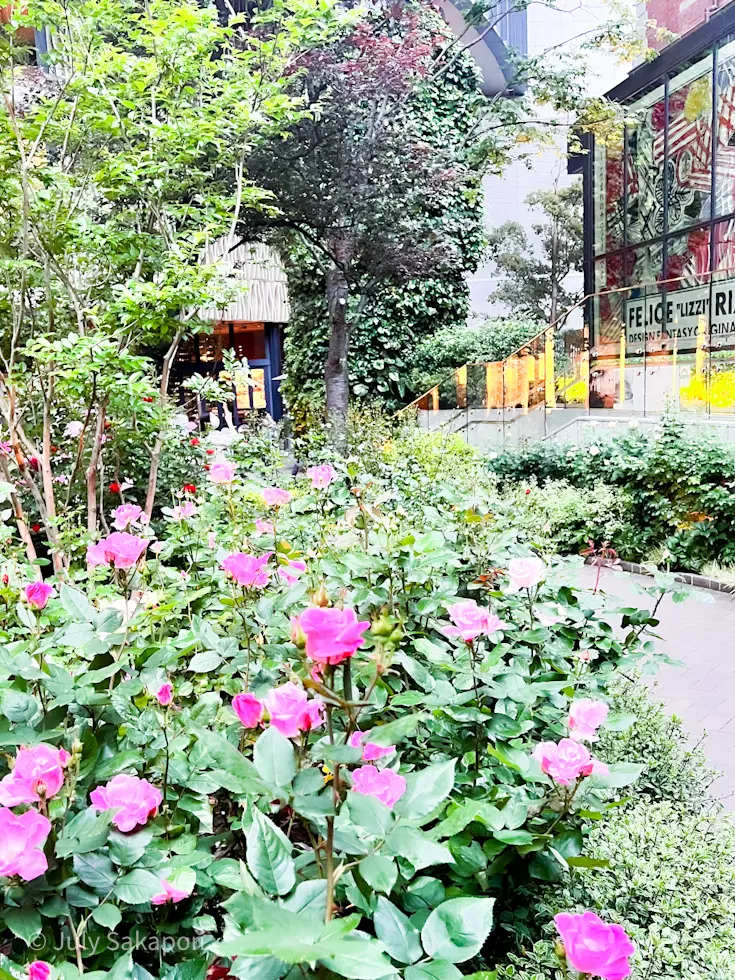 【上野リチ展】とバラの三菱一号館美術館☆の画像_11