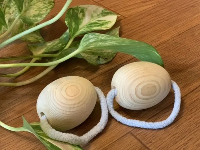 グリーンの小物でサステナブルにの画像_1