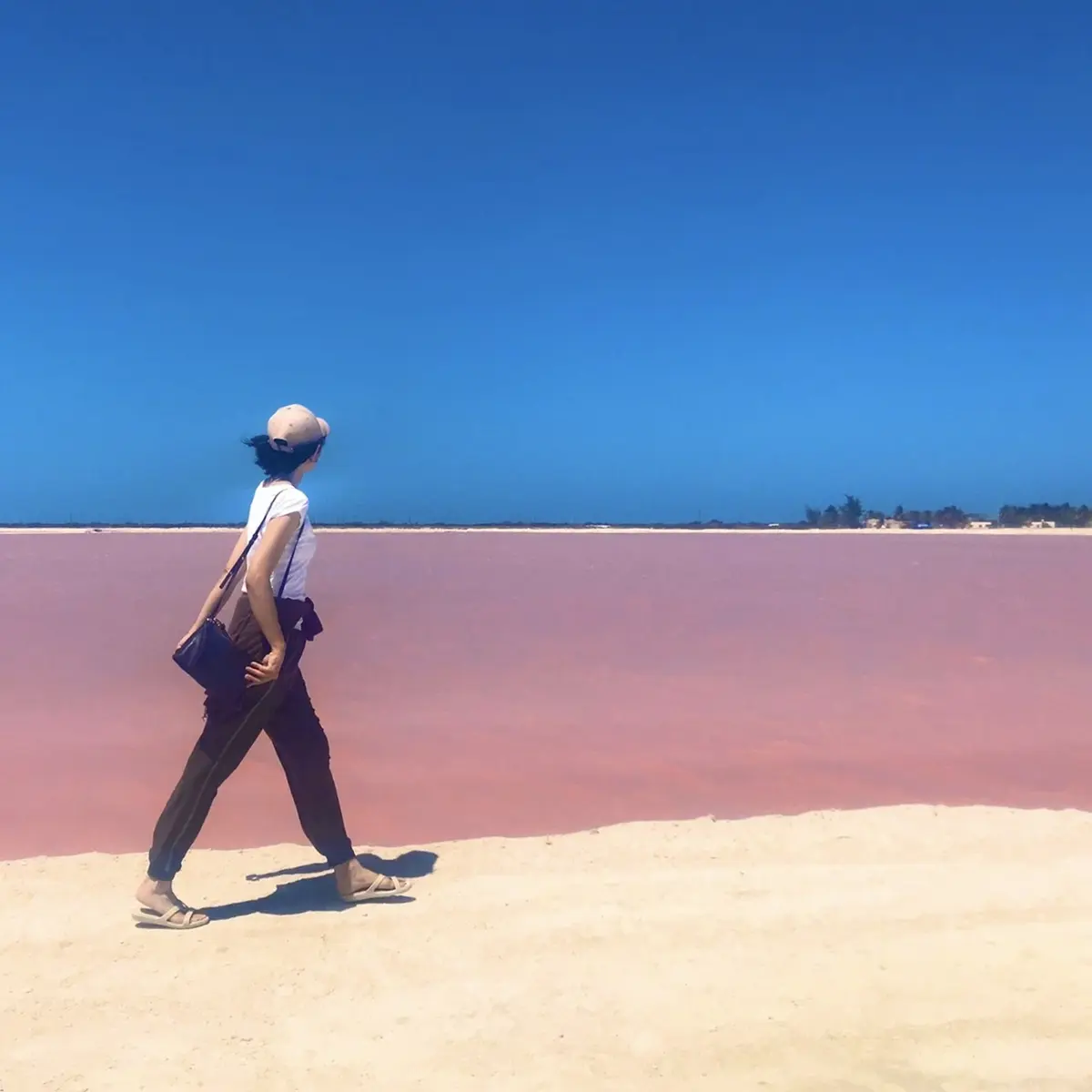 メキシコのピンクレイク③