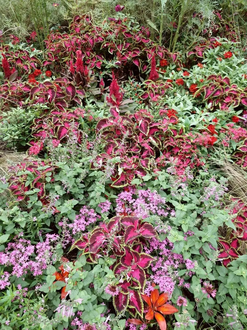 里山ガーデンフェスタ