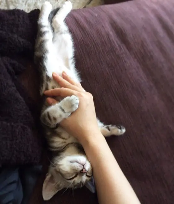 土曜日は蔵出しアランの画像_1