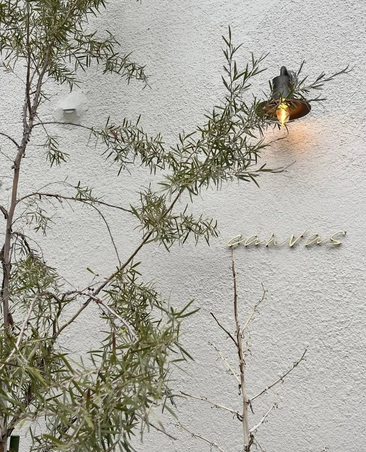 ピンクコーデ色々と乙女パフェ。の画像_11