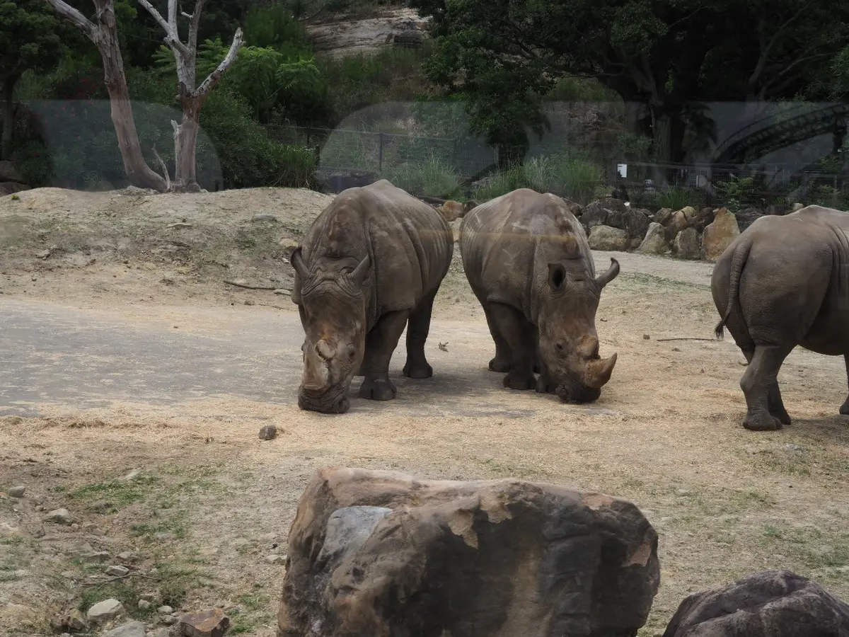 初めての和歌山県!!紀南方面へ2人旅♡～の画像_11