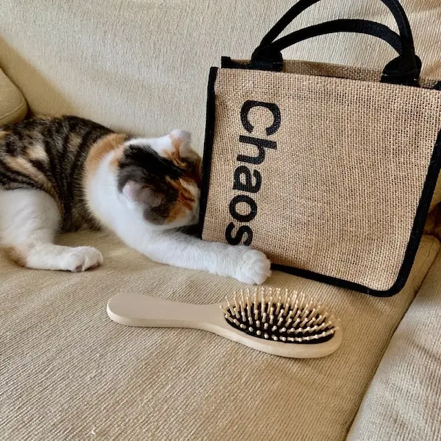 chaos × eclat こでかけBAの画像_3