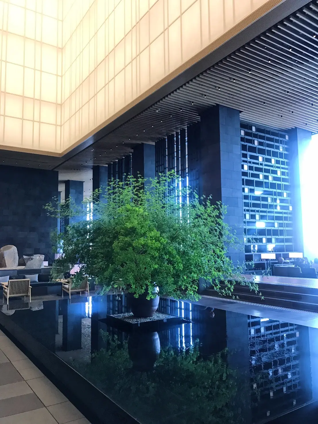 オトナなランチの画像_1