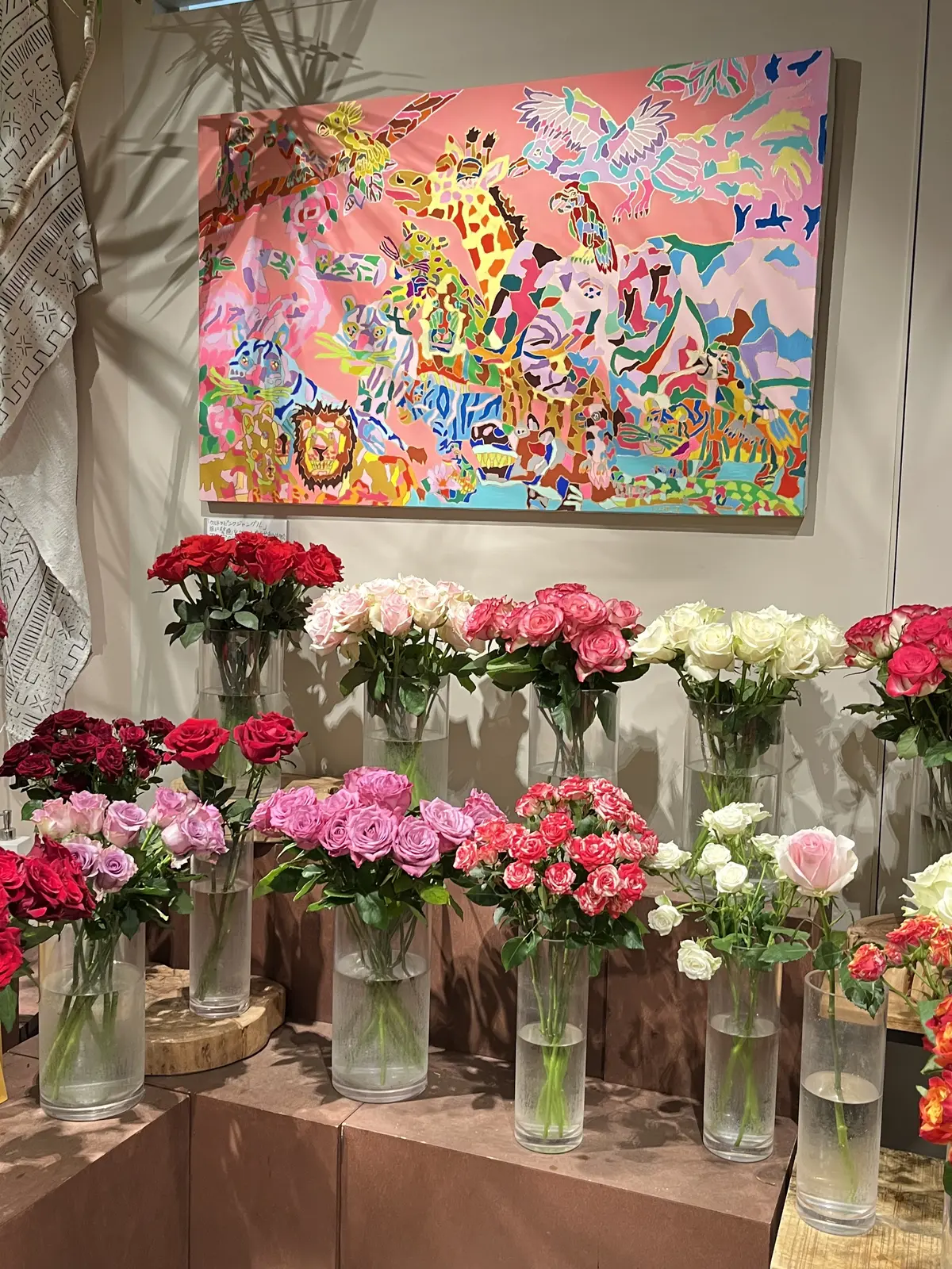 アフリカローズに囲まれての画像_6