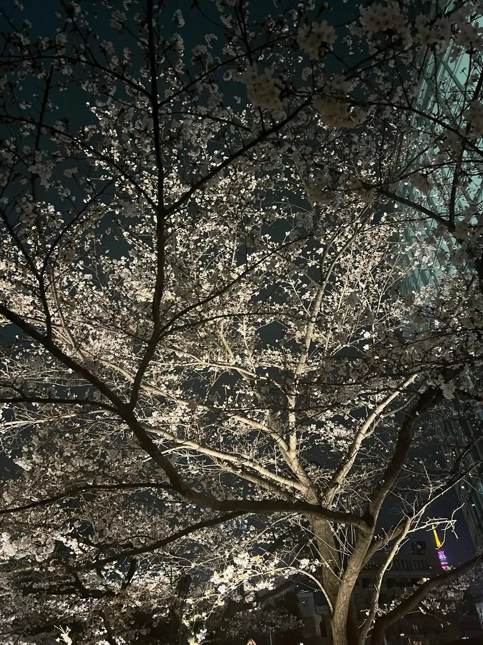 ジャケット2styles☆夜のお出かけの画像_11