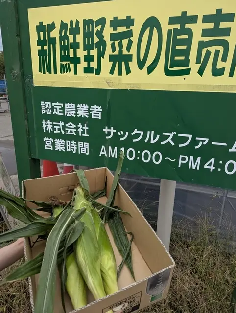 新鮮野菜の直売所でロイシーコーンを購入しました
