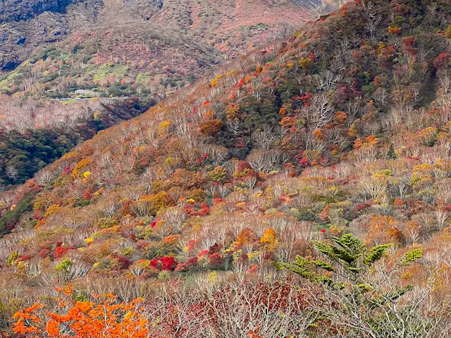 【新宿発】那須塩原🍁日帰りバスツアー体験の画像_8