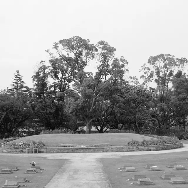 シンボルツリーや低木、芝、花などで覆われたマウンド上の区画に