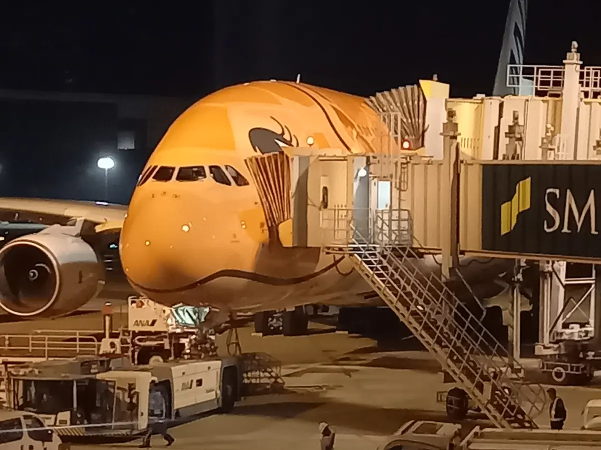 フライングホヌ