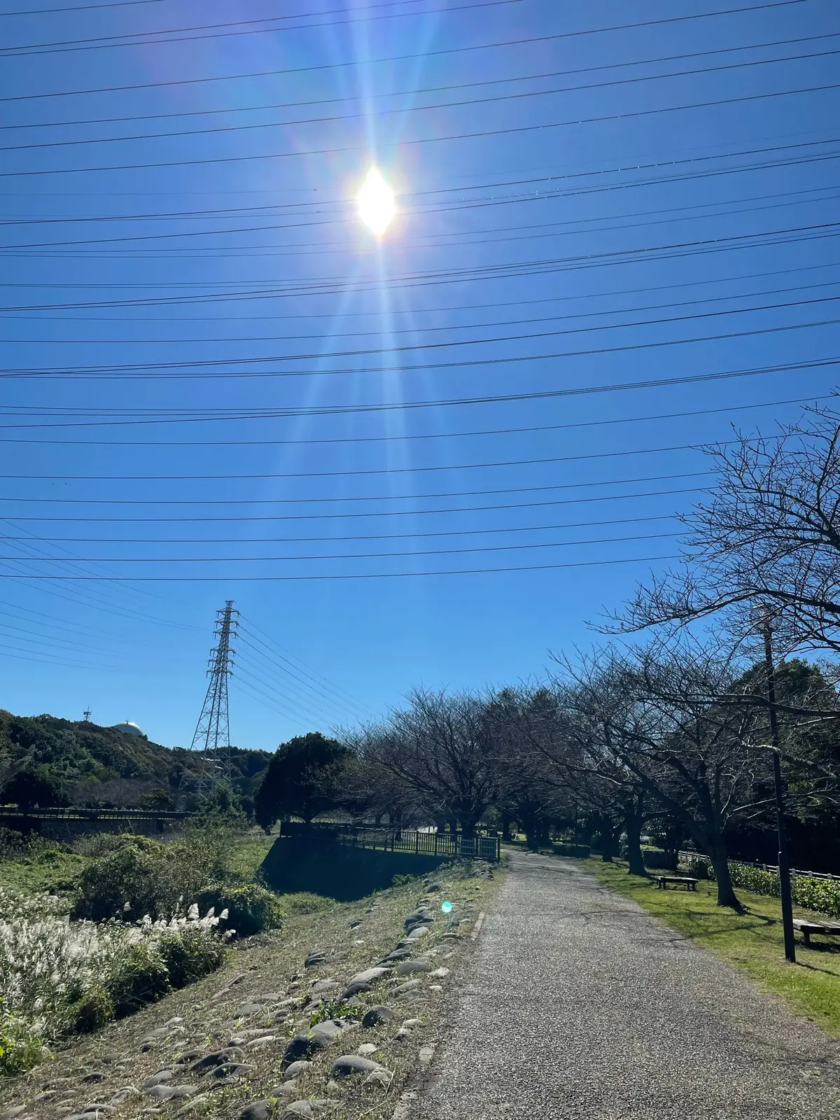 オンラインマラソンに参加です！の画像_2