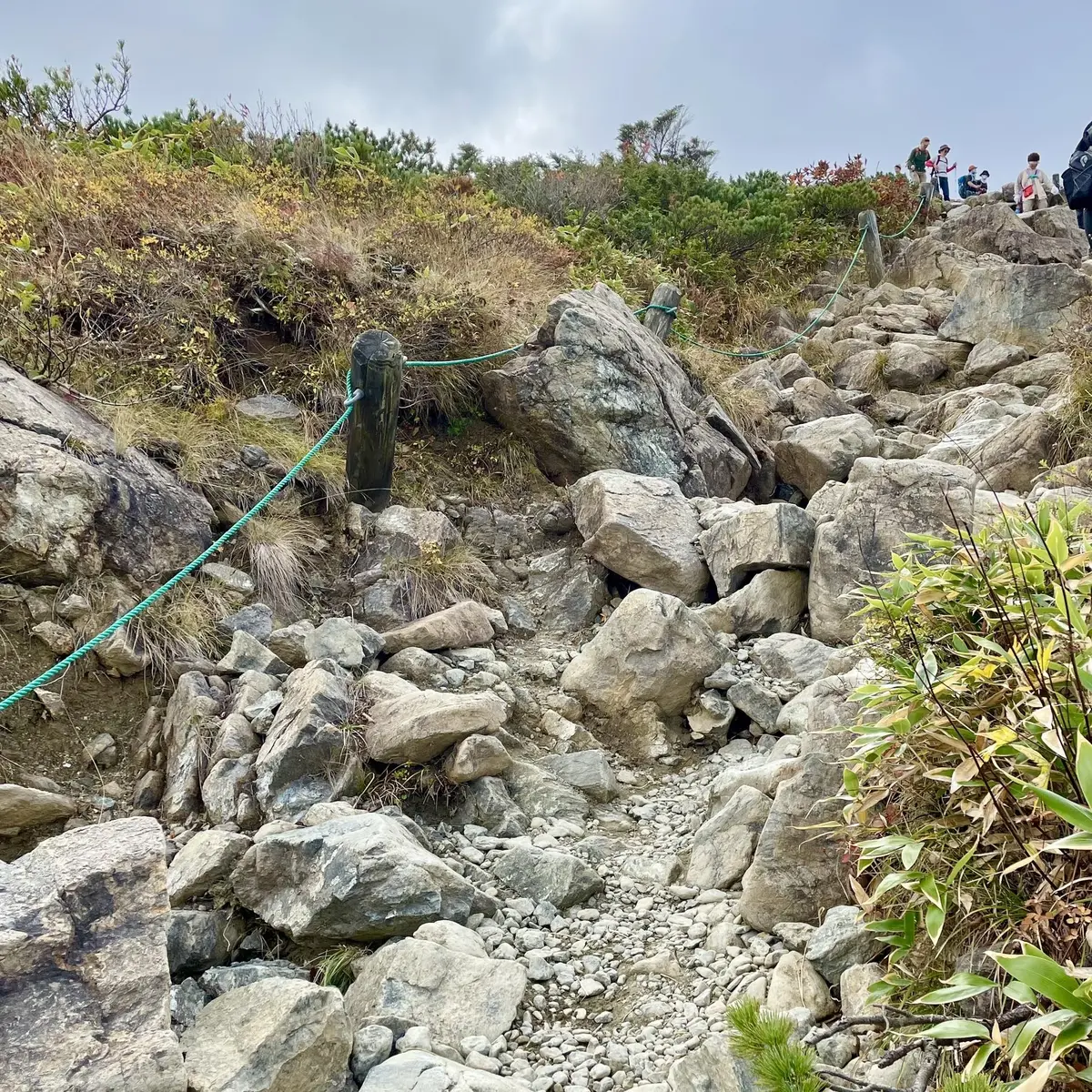 長野県白馬にある八方尾根トレッキング道