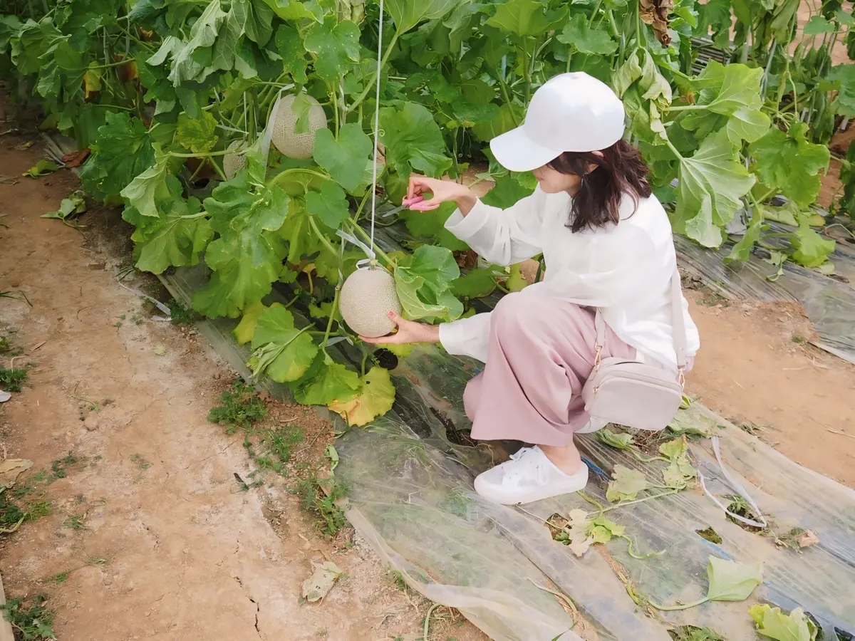 50代のキャップコーディネート始めましたの画像_6