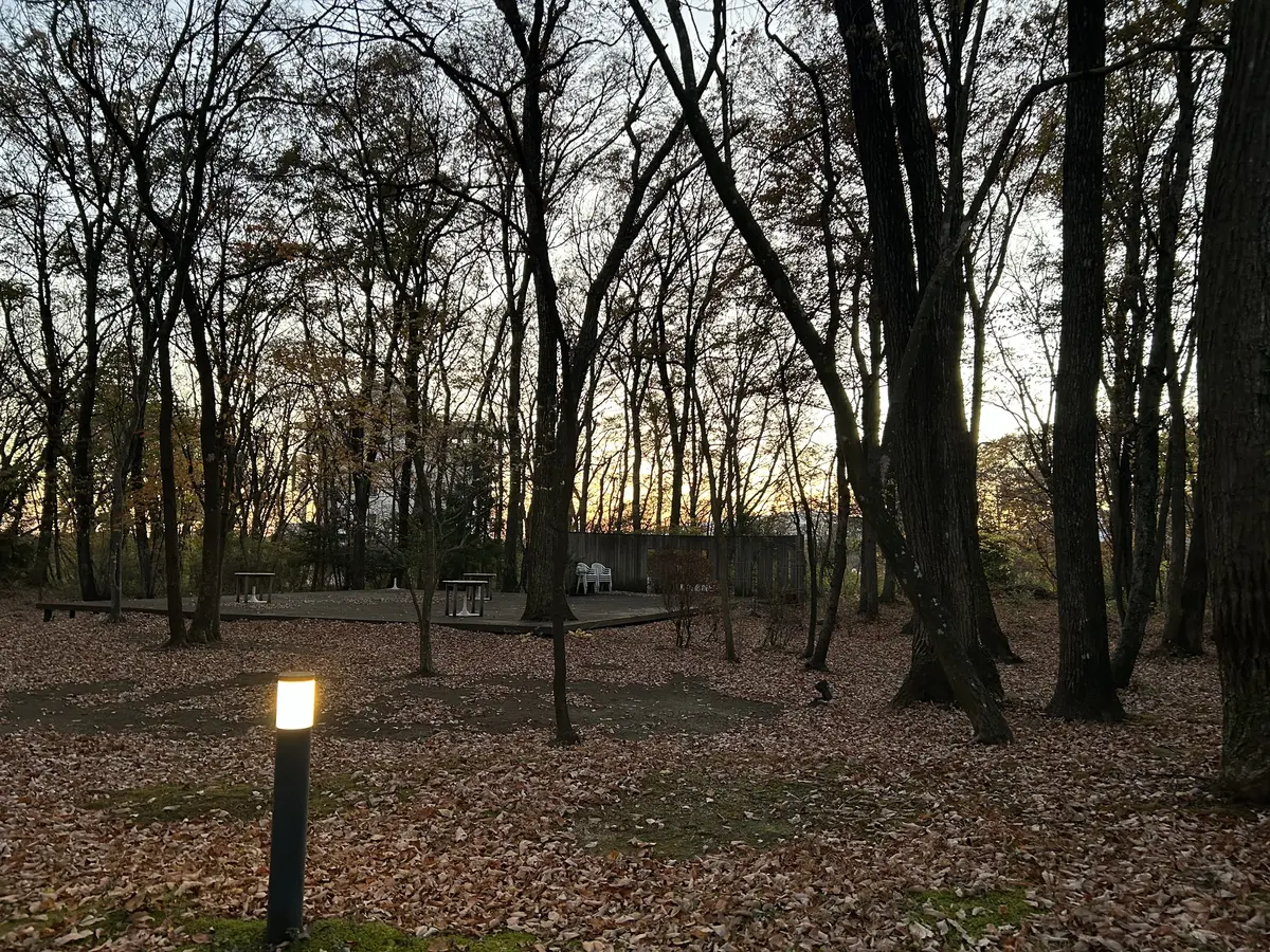 那須高原を東奔西走とおまけに仙台への画像_46